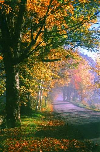 Fall at Dawt Mill