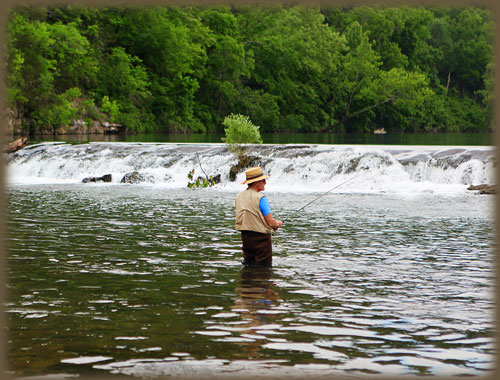 Dawt Mill Fly Fishing