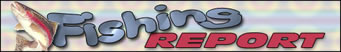 Dawt Mill Fishing Report