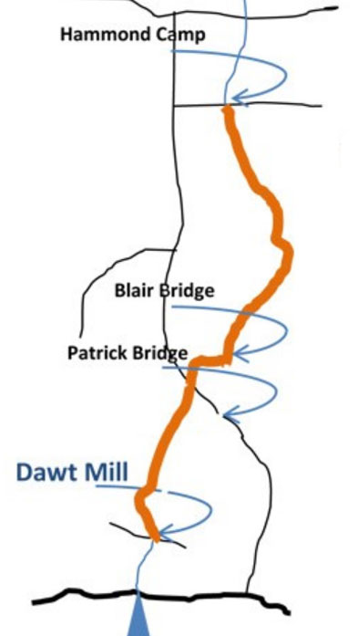 Dawt Mill Hammond Trip